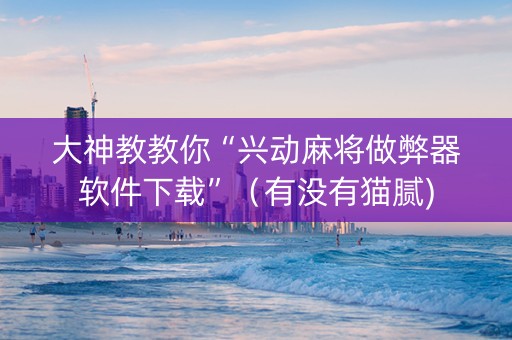 大神教教你“兴动麻将做弊器软件下载”（有没有猫腻)