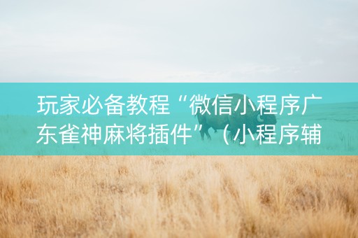 玩家必备教程“微信小程序广东雀神麻将插件”（小程序辅助软件)