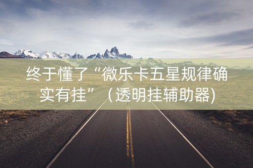 终于懂了“微乐卡五星规律确实有挂”（透明挂辅助器)