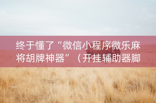 终于懂了“微信小程序微乐麻将胡牌神器”（开挂辅助器脚本)
