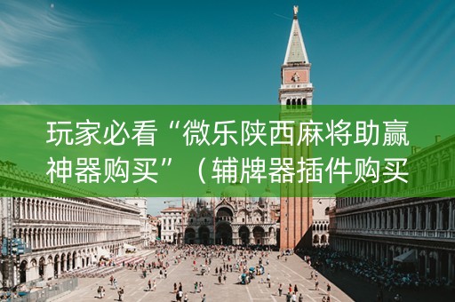 玩家必看“微乐陕西麻将助赢神器购买”（辅牌器插件购买)