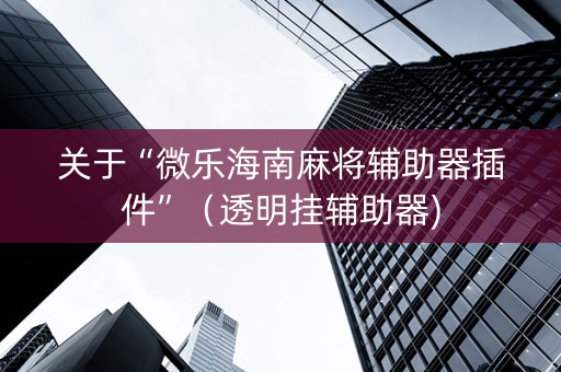 关于“微乐海南麻将辅助器插件”（透明挂辅助器)