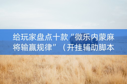 给玩家盘点十款“微乐内蒙麻将输赢规律”（开挂辅助脚本)