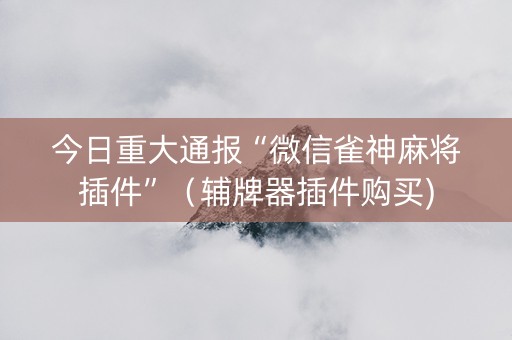 今日重大通报“微信雀神麻将插件”（辅牌器插件购买)