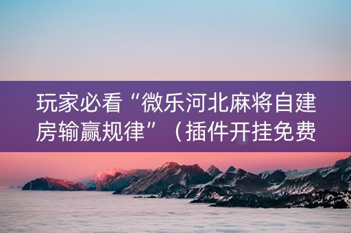 玩家必看“微乐河北麻将自建房输赢规律”（插件开挂免费AI)