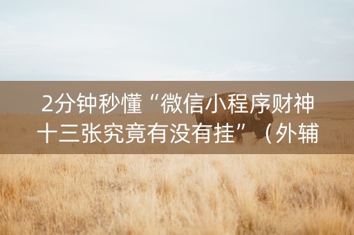 2分钟秒懂“微信小程序财神十三张究竟有没有挂”（外辅工具)