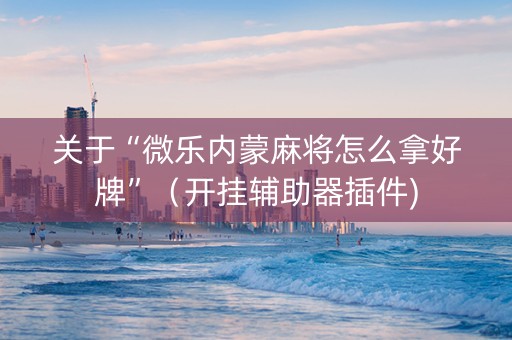 关于“微乐内蒙麻将怎么拿好牌”（开挂辅助器插件)