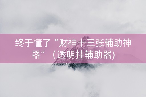 终于懂了“财神十三张辅助神器”（透明挂辅助器)