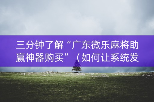 三分钟了解“广东微乐麻将助赢神器购买”（如何让系统发好牌)