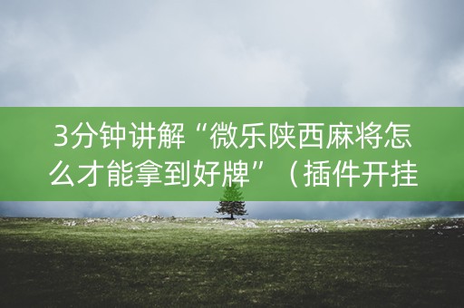 3分钟讲解“微乐陕西麻将怎么才能拿到好牌”（插件开挂免费AI)