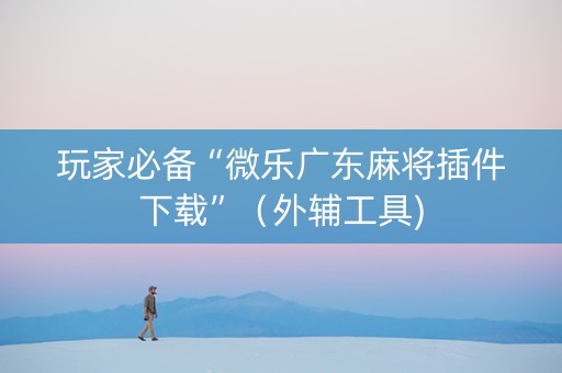 玩家必备“微乐广东麻将插件下载”（外辅工具)