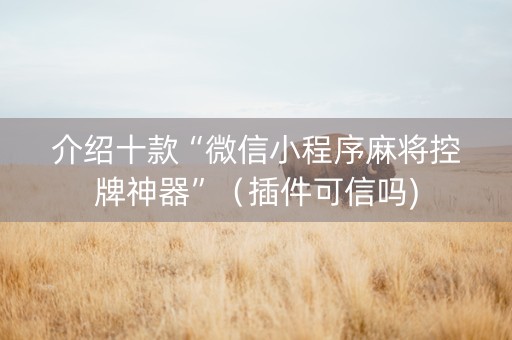 介绍十款“微信小程序麻将控牌神器”（插件可信吗)