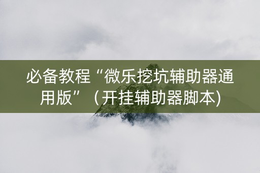 必备教程“微乐挖坑辅助器通用版”（开挂辅助器脚本)