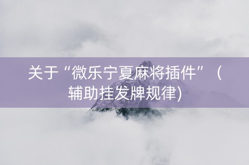 关于“微乐宁夏麻将插件”（辅助挂发牌规律)