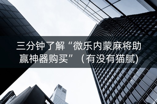 三分钟了解“微乐内蒙麻将助赢神器购买”（有没有猫腻)