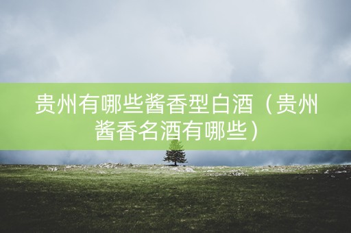 贵州有哪些酱香型白酒（贵州酱香名酒有哪些）