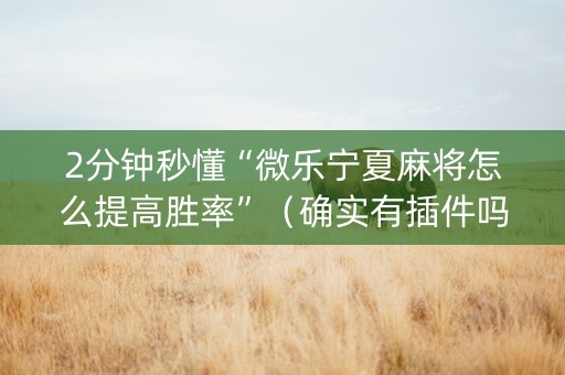 2分钟秒懂“微乐宁夏麻将怎么提高胜率”（确实有插件吗)