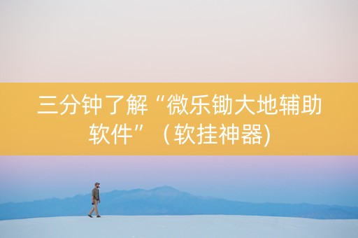 三分钟了解“微乐锄大地辅助软件”（软挂神器)