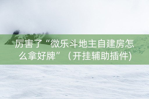 厉害了“微乐斗地主自建房怎么拿好牌”（开挂辅助插件)
