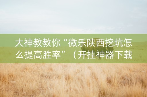 大神教教你“微乐陕西挖坑怎么提高胜率”（开挂神器下载)