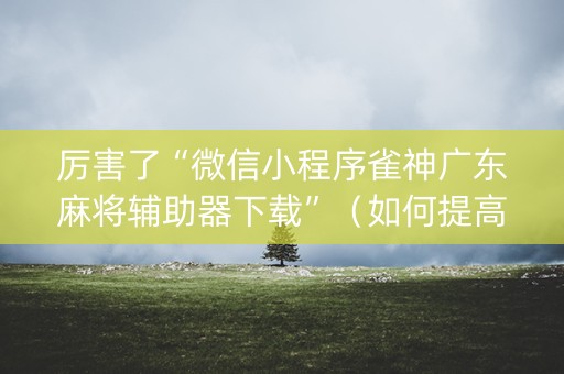 厉害了“微信小程序雀神广东麻将辅助器下载”（如何提高胜率)