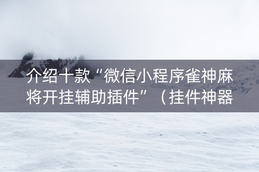 介绍十款“微信小程序雀神麻将开挂辅助插件”（挂件神器)