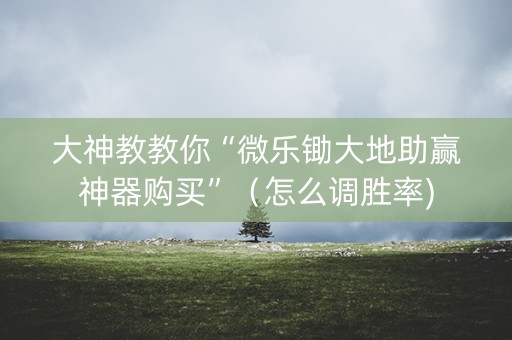 大神教教你“微乐锄大地助赢神器购买”（怎么调胜率)