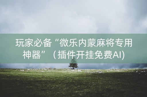 玩家必备“微乐内蒙麻将专用神器”（插件开挂免费AI)