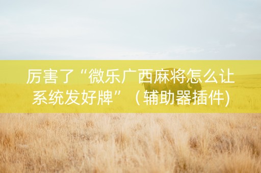 厉害了“微乐广西麻将怎么让系统发好牌”（辅助器插件)