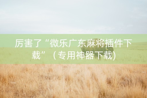 厉害了“微乐广东麻将插件下载”（专用神器下载)