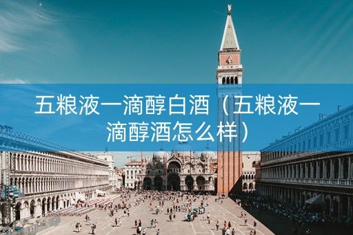 五粮液一滴醇白酒（五粮液一滴醇酒怎么样）
