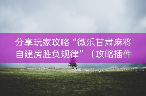 分享玩家攻略“微乐甘肃麻将自建房胜负规律”（攻略插件)