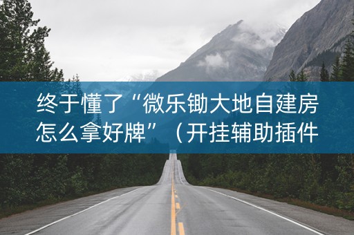 终于懂了“微乐锄大地自建房怎么拿好牌”（开挂辅助插件)