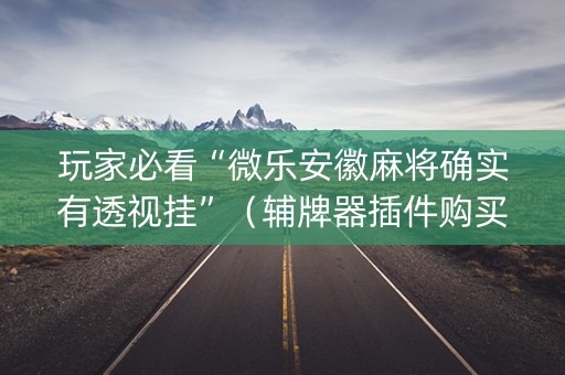 玩家必看“微乐安徽麻将确实有透视挂”（辅牌器插件购买)