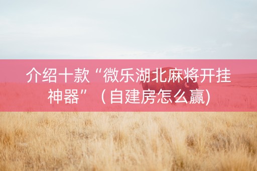 介绍十款“微乐湖北麻将开挂神器”（自建房怎么赢)