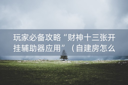 玩家必备攻略“财神十三张开挂辅助器应用”（自建房怎么赢)