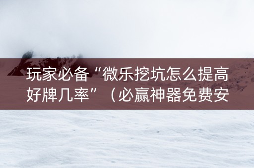 玩家必备“微乐挖坑怎么提高好牌几率”（必赢神器免费安装)