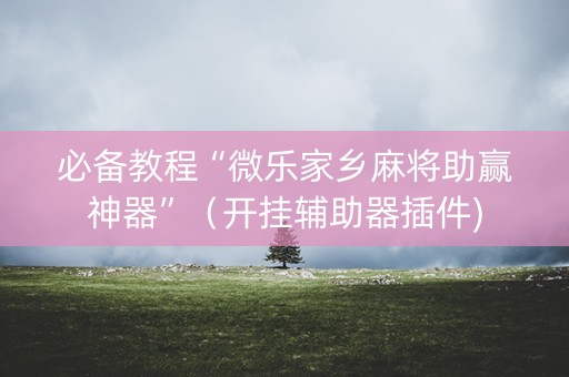必备教程“微乐家乡麻将助赢神器”（开挂辅助器插件)