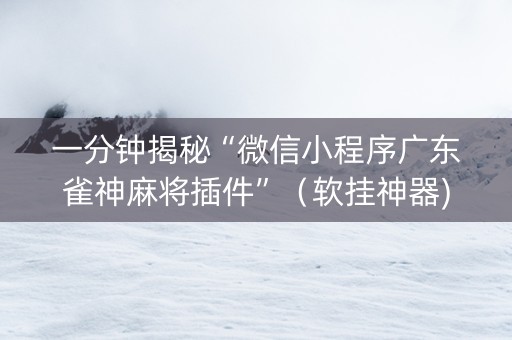 一分钟揭秘“微信小程序广东雀神麻将插件”（软挂神器)