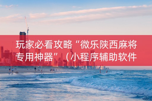 玩家必看攻略“微乐陕西麻将专用神器”（小程序辅助软件)