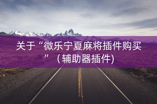 关于“微乐宁夏麻将插件购买”（辅助器插件)