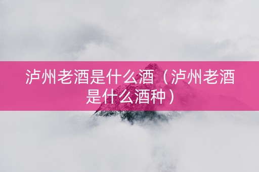 泸州老酒是什么酒（泸州老酒是什么酒种）