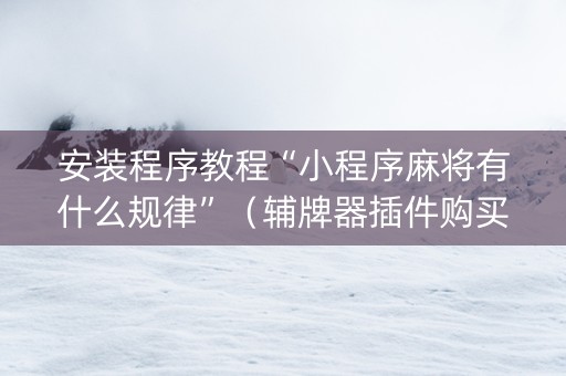 安装程序教程“小程序麻将有什么规律”（辅牌器插件购买)