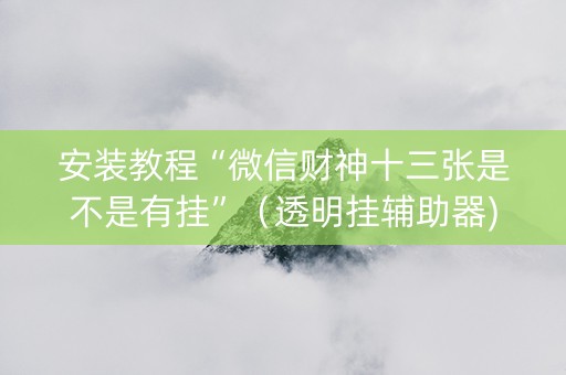 安装教程“微信财神十三张是不是有挂”（透明挂辅助器)