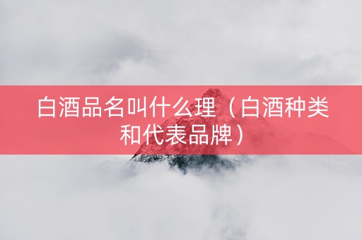 白酒品名叫什么理（白酒种类和代表品牌）