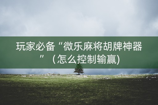 玩家必备“微乐麻将胡牌神器”（怎么控制输赢)