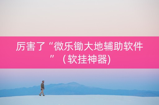 厉害了“微乐锄大地辅助软件”（软挂神器)