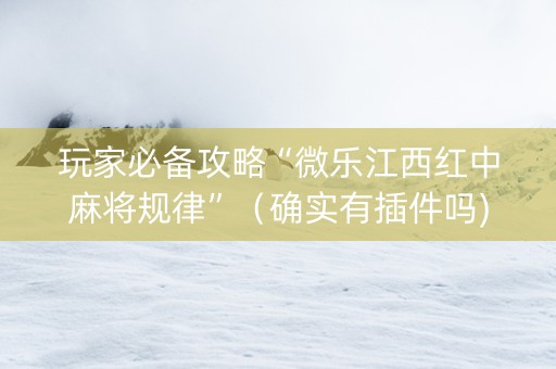 玩家必备攻略“微乐江西红中麻将规律”（确实有插件吗)