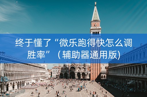 终于懂了“微乐跑得快怎么调胜率”（辅助器通用版)