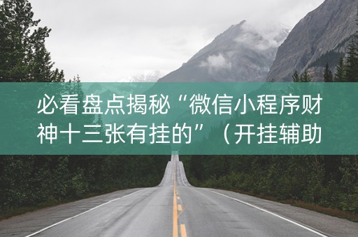 必看盘点揭秘“微信小程序财神十三张有挂的”（开挂辅助器脚本)